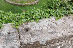 Abbazia di Vallombrosa
