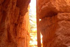 In den Tiefen des Bryce Canyons