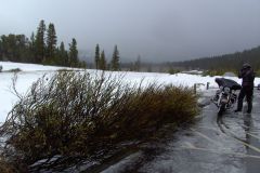 Schnee am Tiogapass (3.000m Höhe)