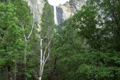 Yosemite Valley View