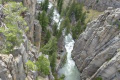 Waldbrand am Beartooth Pass