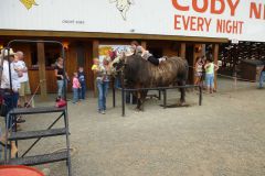 Rodeo in Cody