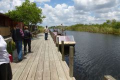 Auf in die Everglades