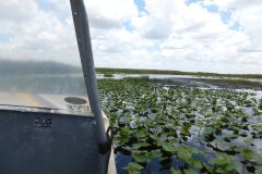 Bootsfahrt durch die Everglades