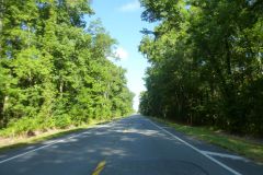 Fahrt durch die Wälder von Florida nach Tallahassee in die Hauptstadt