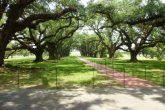 Oak Alley Plantation