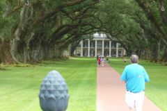 Oak Alley Plantation