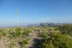 Vom Big Bend nach Alpine