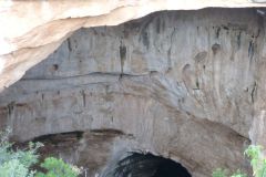 Fledermausausflug aus den Carlsbad Caverns