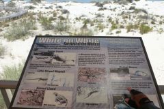 White Sands National Monument