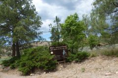 Gila National Forest