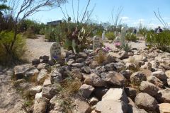 Friedhof in Tombstone