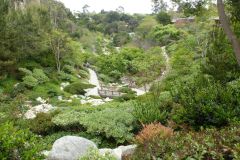 Chinesischer Garten im Balboa Park