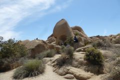 Skull Rock im Joshua Tree