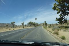 Joshua Tree Nationalpark