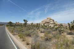 Joshua Tree Nationalpark