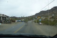 Oatman Stadt der Esel