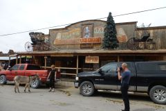 Oatman Stadt der Esel