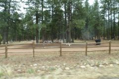 Auf dem Weg nach Flagstaff