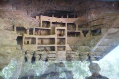 Montezuma Castle National Monument