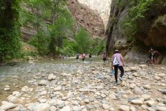 Im Zion Nationalpark geht nur durchs Wasser weiter