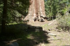 Sequoia National Monument - General Grant