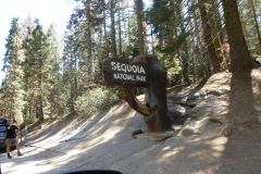 Sequoia National Monument