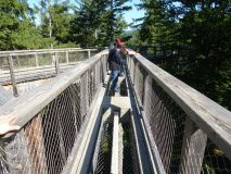 Urlaub im Bayerischen Wald