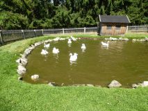 Urlaub im Bayerischen Wald