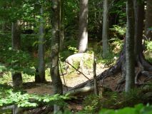 Urlaub im Bayerischen Wald