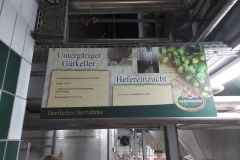 Besichtigung Herrnbräu Ingolstadt