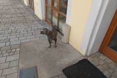 Rundgang durch Cham