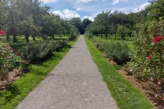 Dachau-127