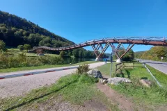 Tatzelwurm