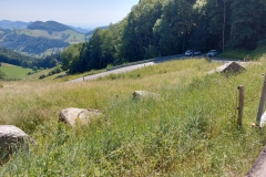 Frankreich133