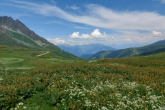 Frankreich
