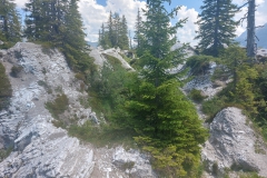 Frankreich281