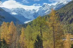 Bernina Gletscher