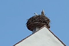 Tour durchs Hopfenland