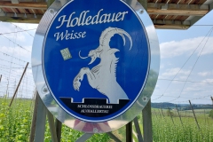 Tour durchs Hopfenland