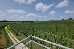 Tour durchs Hopfenland