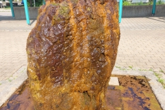 Tour durchs Hopfenland