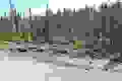 Kanada
