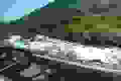 Alaska