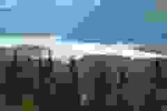 Alaska