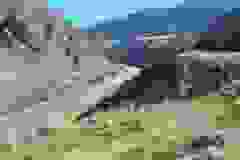 Kanada