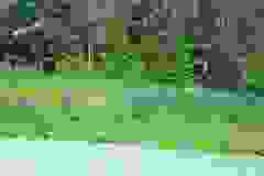 Kanada