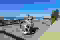 Kanada