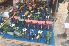 Karpfhamer-Fest-120