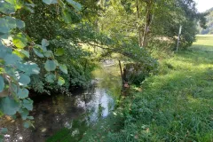 Am Hirschbach